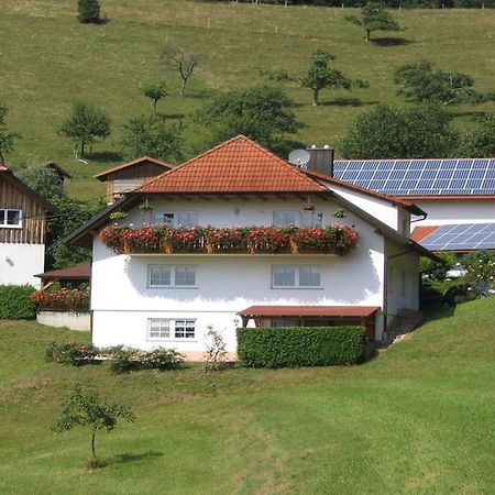 Ferienwohnung Burgblick Seelbach  Exteriör bild