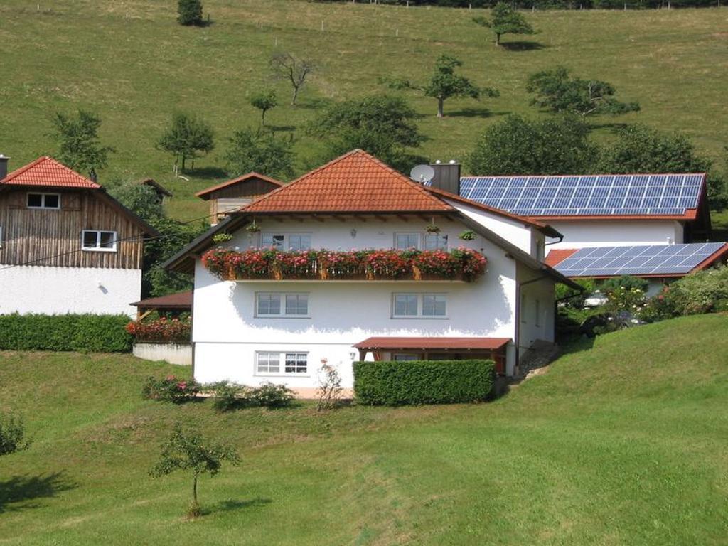 Ferienwohnung Burgblick Seelbach  Exteriör bild