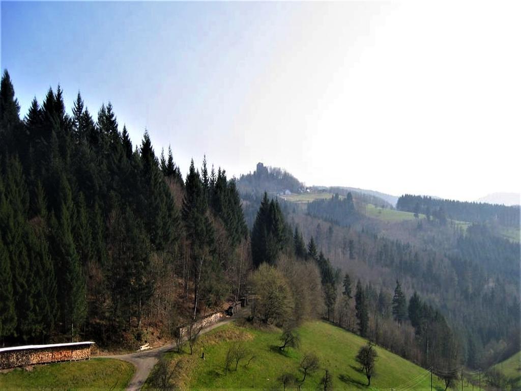 Ferienwohnung Burgblick Seelbach  Exteriör bild