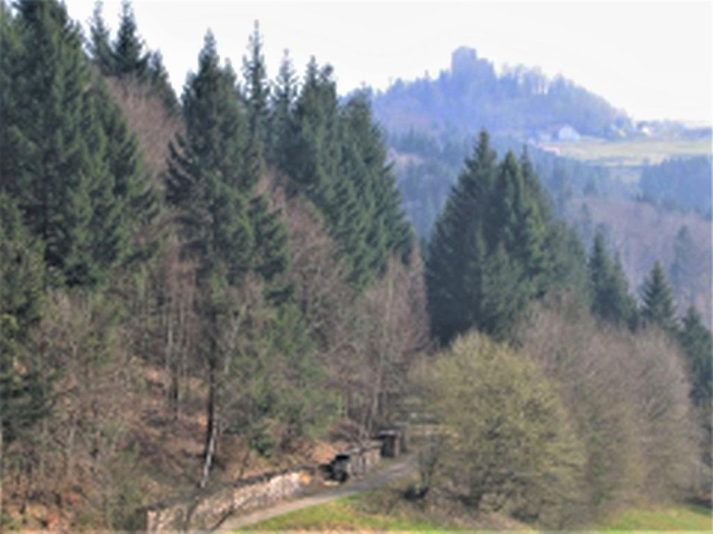 Ferienwohnung Burgblick Seelbach  Exteriör bild